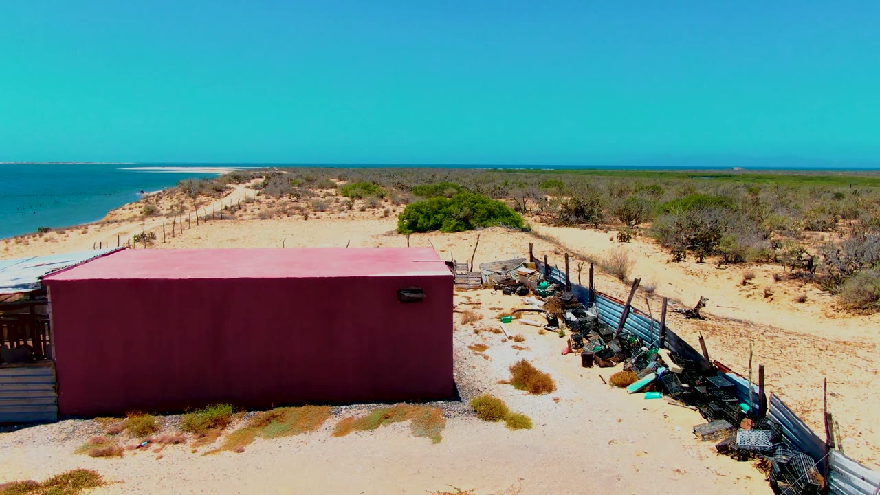 San Carlos shoreline frame with a pink-red rectangular wall across the sand, sparse dunes behind it, fencing and gear to the right, blue ocean to the left, and no visible people.