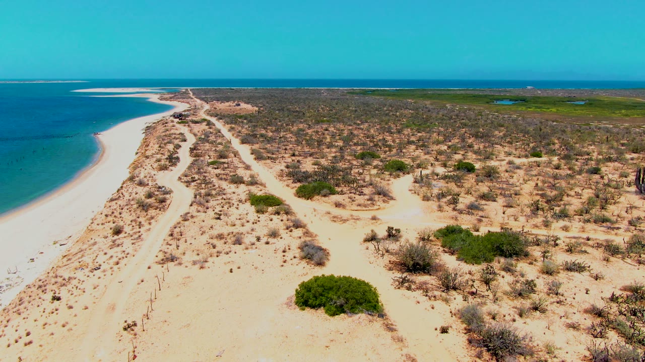 Sandy beach road and dune line running along blue coastal water.