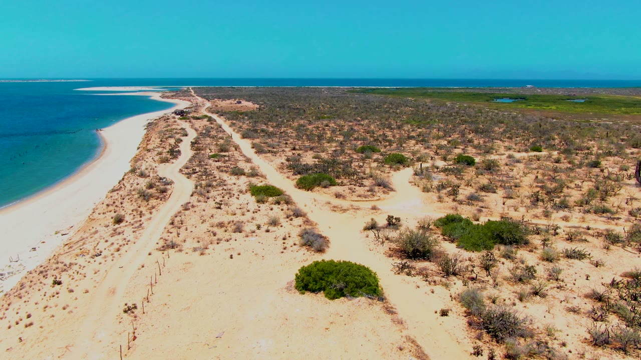 The third frame holds the elevated San Carlos coastline view, with the sand track centered between the ocean and a broad field of dry coastal brush, no visible people.