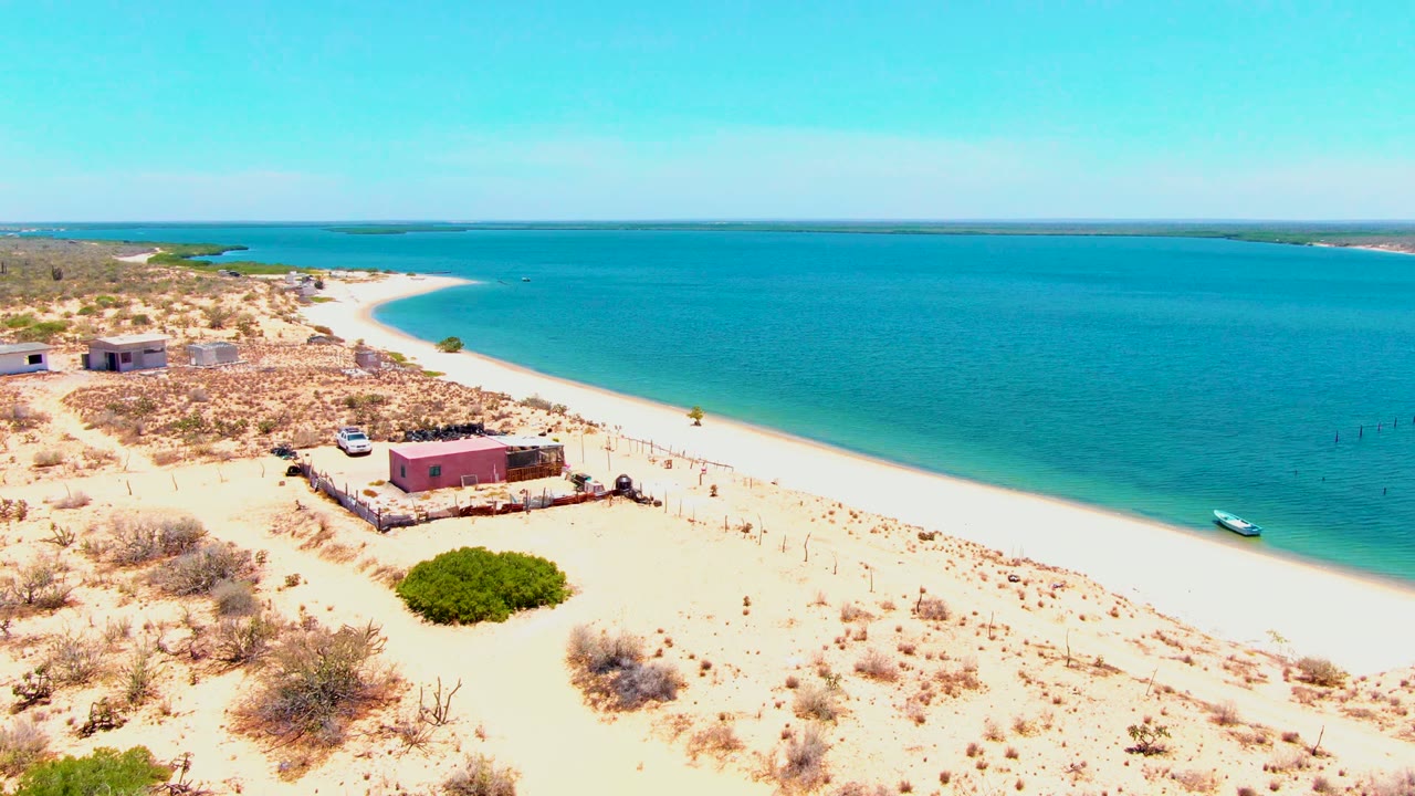 Aerial frame over San Carlos, Baja California Sur, showing pale sand, dry scrub, a pink shore building, a white car, a green bush in the foreground, calm blue water, and no visible people.