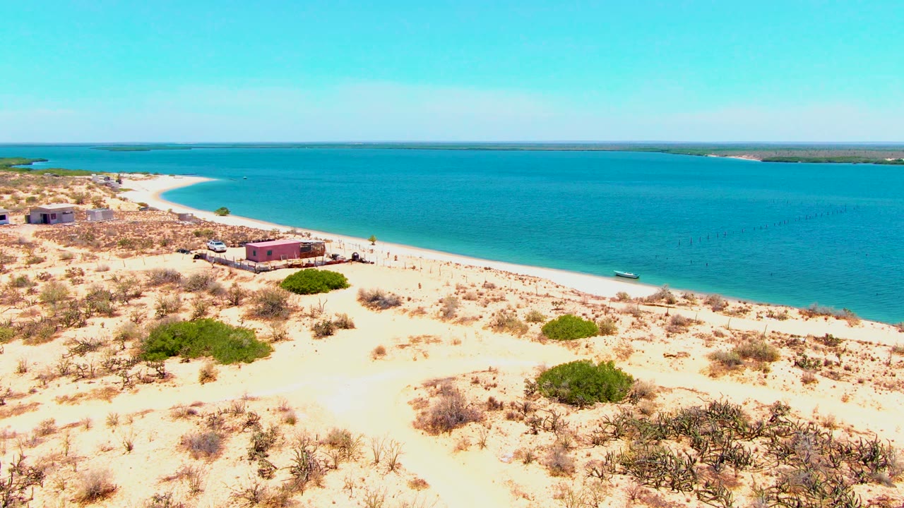 Elevated San Carlos beach view with pale sand, scattered desert vegetation, small structures set back from the shore, blue water stretching to the horizon, a small boat near the beach, and tiny people visible on the sand.
