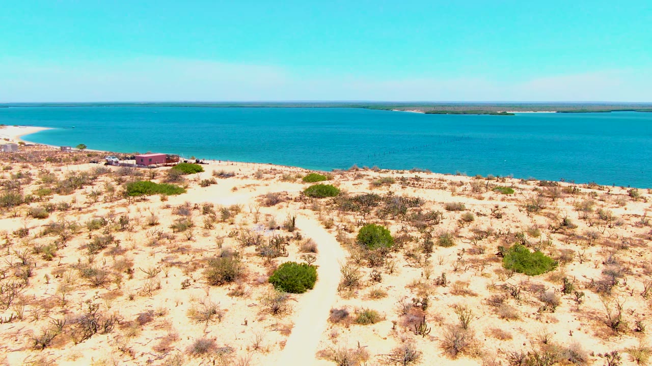 Elevated view in San Carlos, Baja California Sur, with a sandy path through sparse dunes leading toward blue coastal water and no visible people.