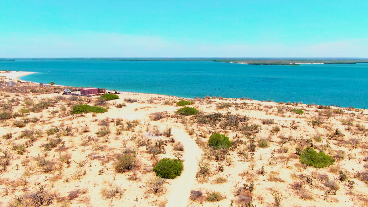 Coastal dunes with sandy path and turquoise water