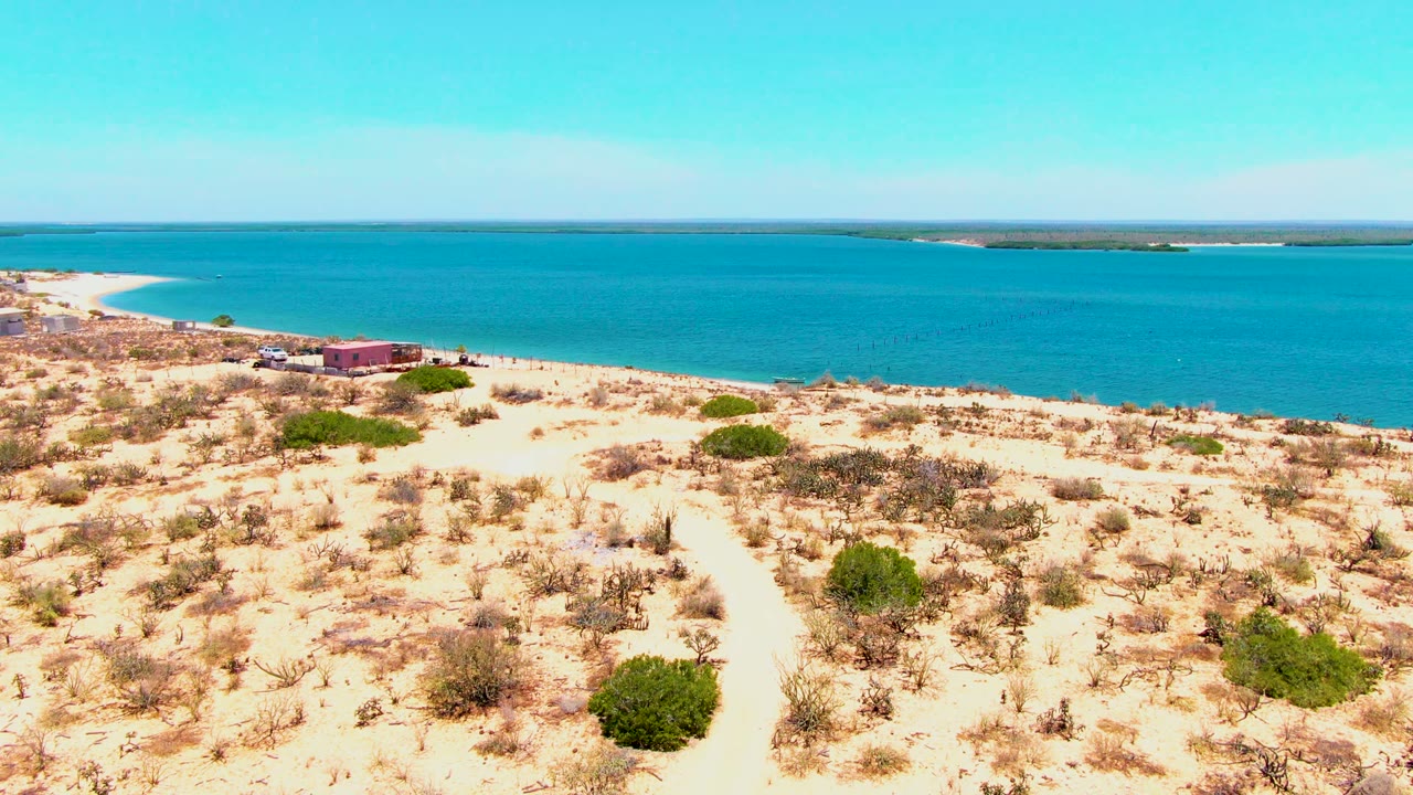 Aerial-looking frame over dry San Carlos dunes, scattered green shrubs, a light sand track, and calm blue water beyond, with no visible people.