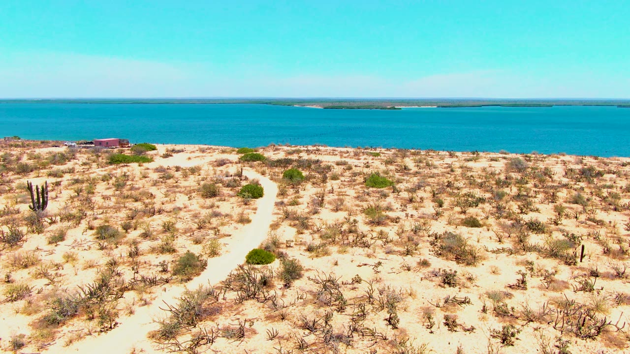A sandy path winds through sparse desert scrub toward blue coastal water in San Carlos, Baja California Sur, with cacti at left and no visible people.