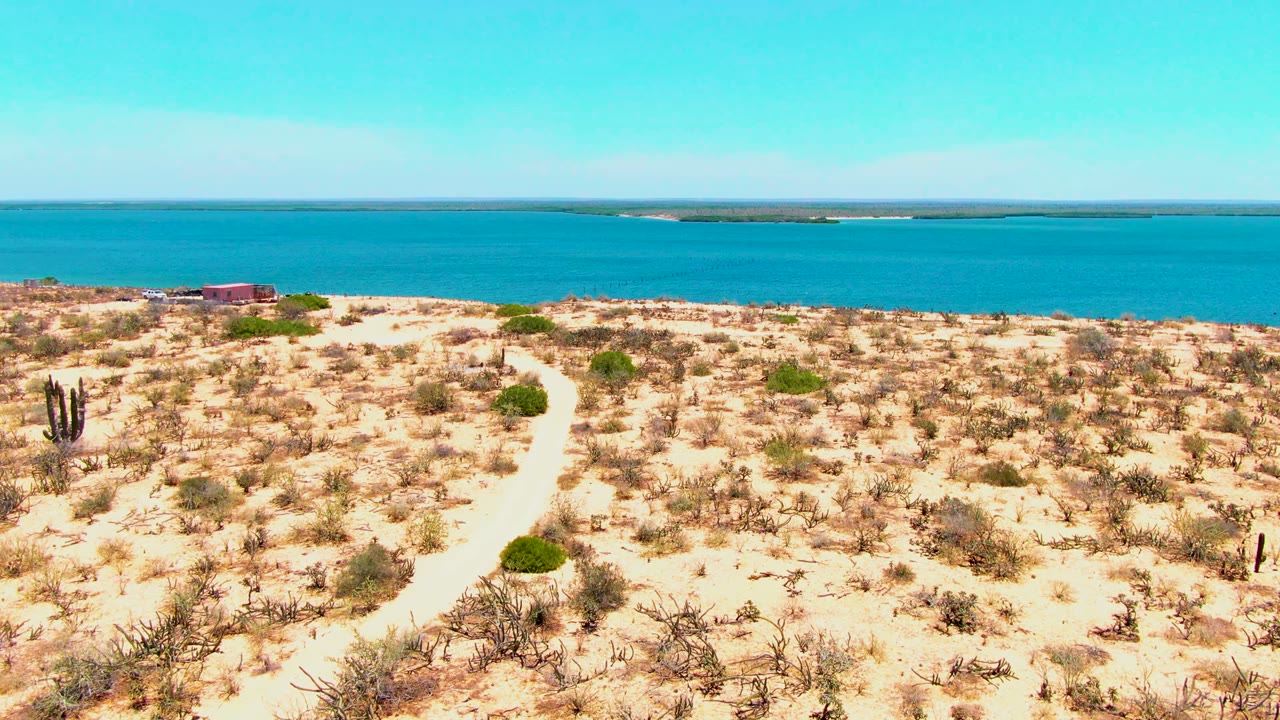 Desert scrub and cactus above bright blue water