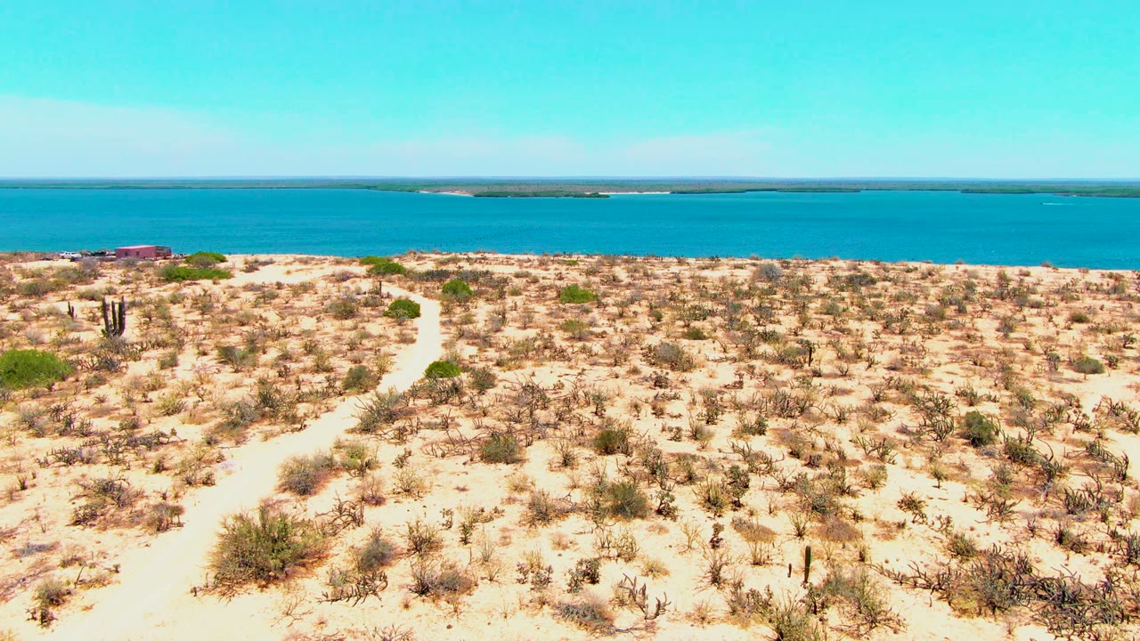 Wide elevated view in San Carlos, Baja California Sur, with a sandy path through scrub and cacti leading toward bright blue water.