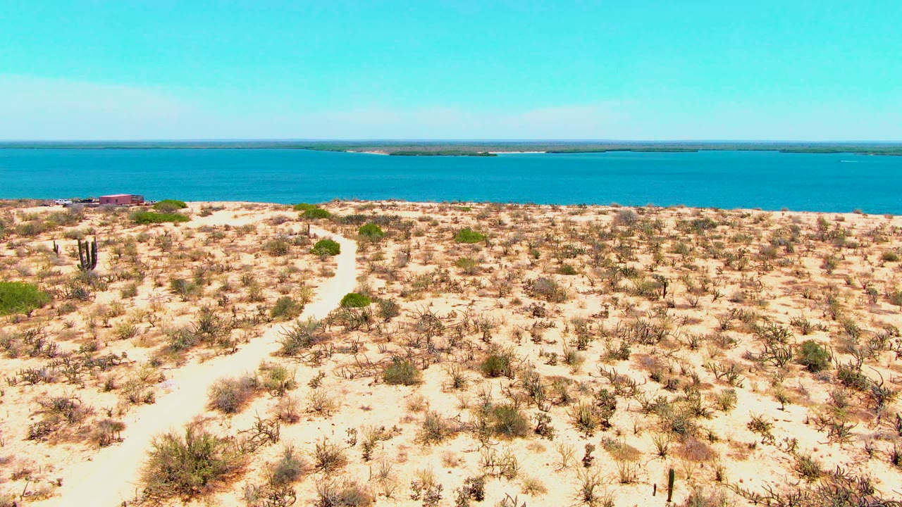 Desert trail with sparse plants and water horizon