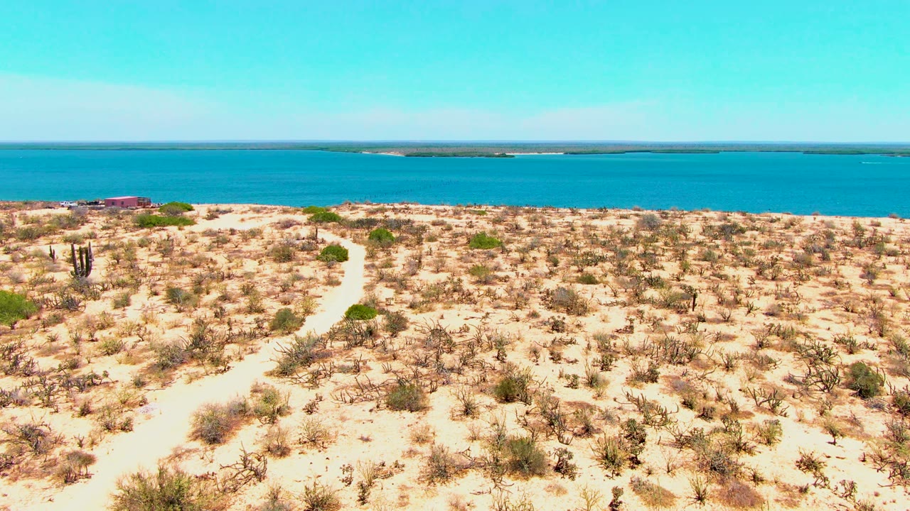 Wide drone-like view over San Carlos desert scrub, with the winding sandy track below and calm blue water stretching across the background.