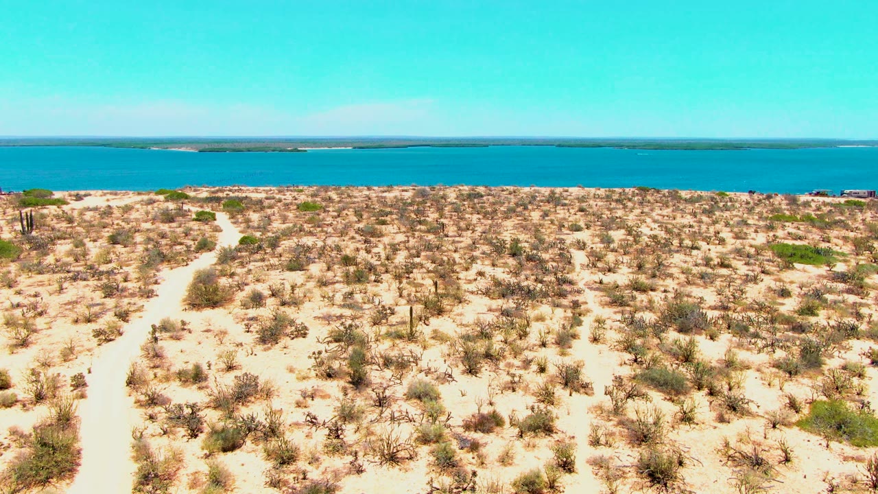 At 0:00 in San Carlos, Baja California Sur, a sandy track crosses cactus-dotted desert toward a broad blue body of water under a clear sky, with no visible people.