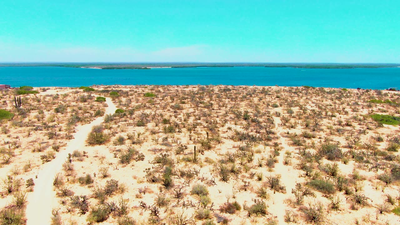 Desert scrub and pale path facing a blue coastal waterline