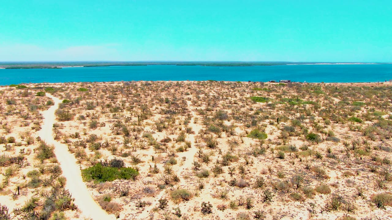 Aerial view in San Carlos, Baja California Sur, with a pale dirt path at left crossing sparse desert scrub toward bright blue coastal water and no visible people.