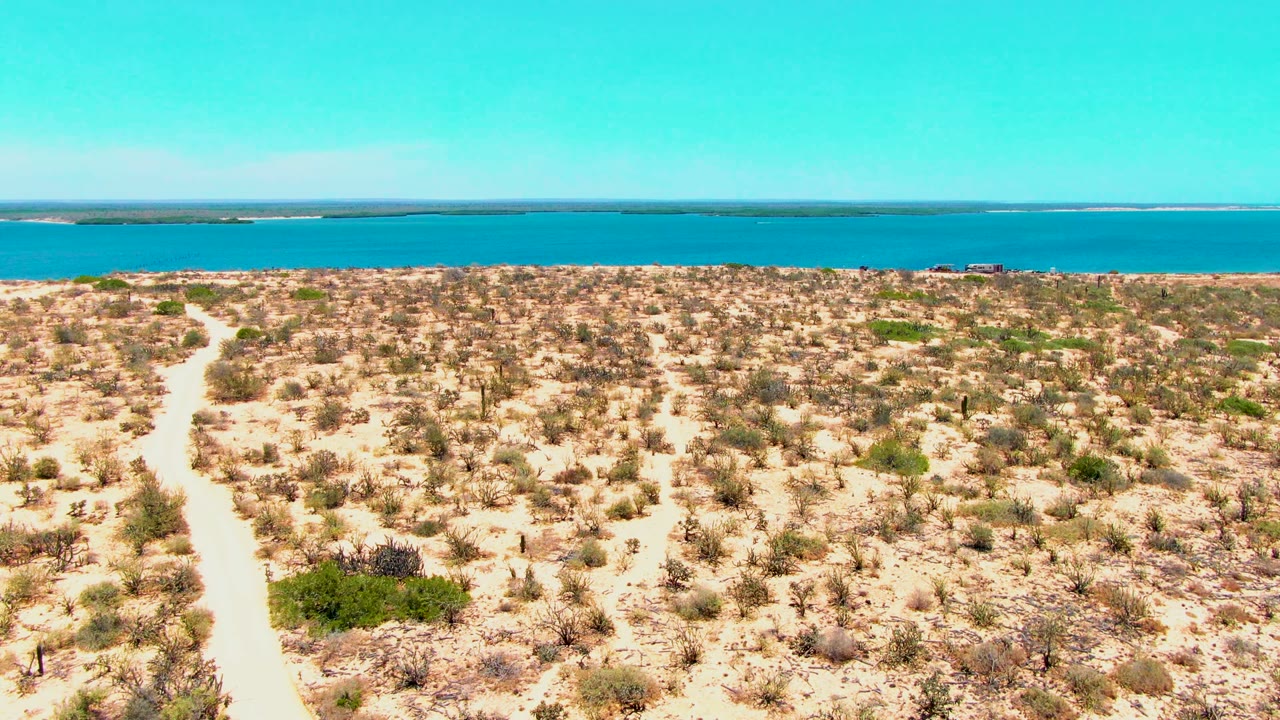 Desert scrub and winding dirt track below a blue water horizon.