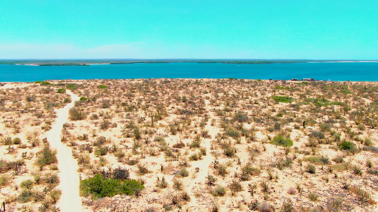 Aerial view in San Carlos, Baja California Sur, with the pale path running through scrubby beige terrain toward a wide turquoise-blue water band and no visible people.