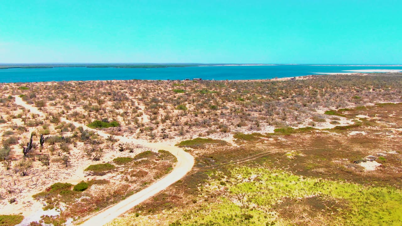 Aerial view in San Carlos, Baja California Sur, with a pale dirt road curving through scrubby desert toward distant blue water under a clear sky, no visible people.