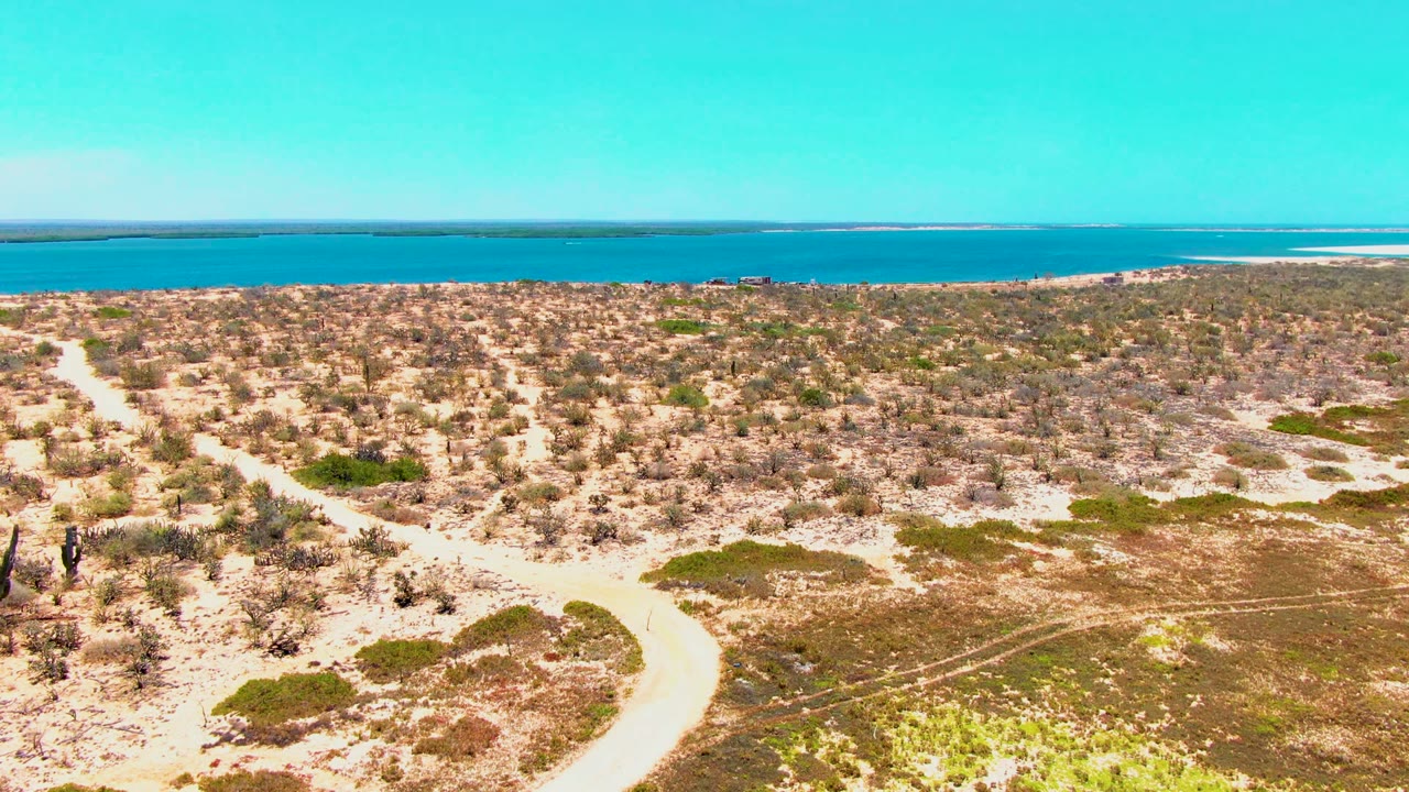 High view of sandy desert vegetation in San Carlos with branching pale tracks, scattered cactus forms, brown scrub, and distant turquoise-blue water, no visible people.
