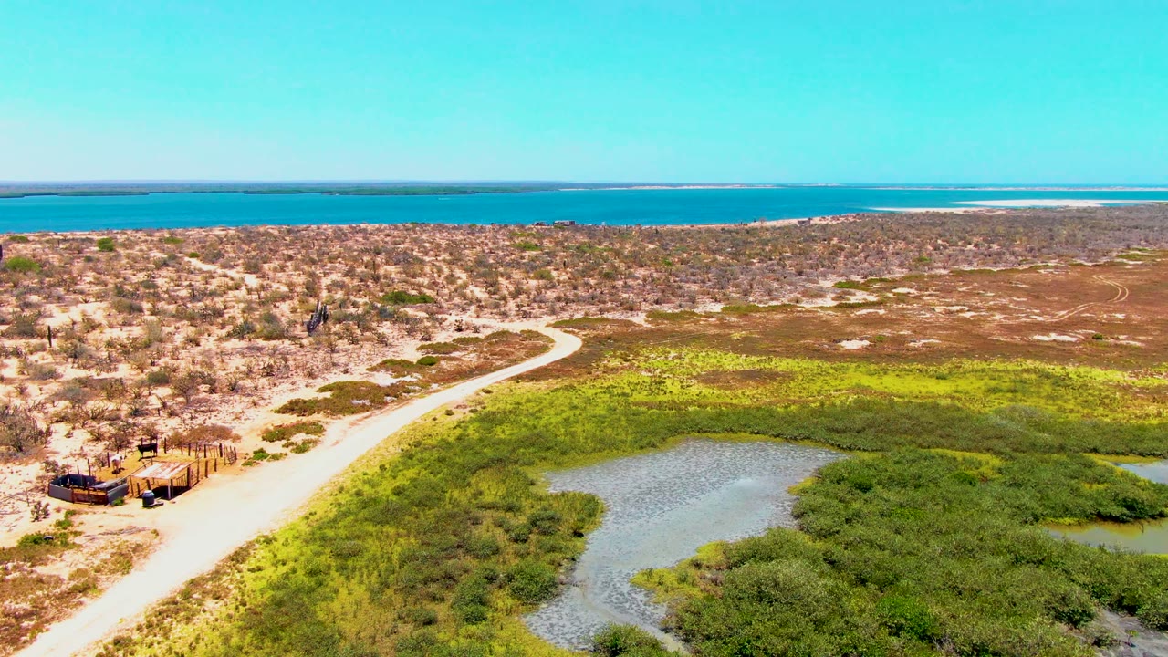 Aerial frame from San Carlos, Baja California Sur showing a winding dirt road, a small vehicle near a roadside structure, green marsh, sandy scrubland, distant ocean, and no visible people.