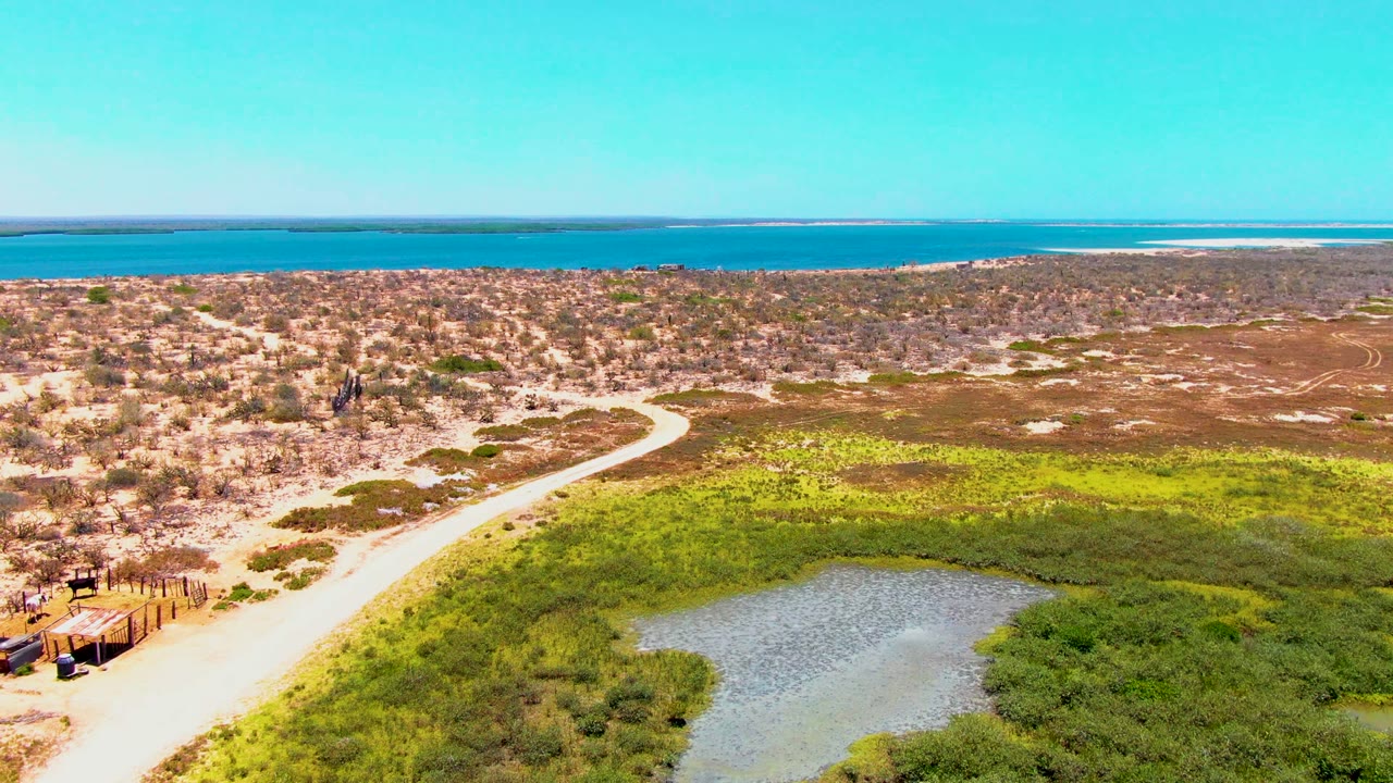 Aerial view of a pale dirt road curving past scrubland and a marsh pond.
