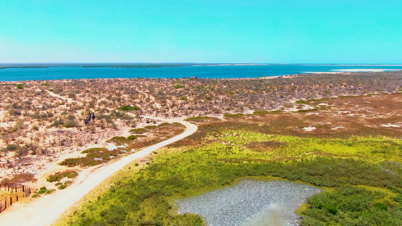 Aerial frame from San Carlos, Baja California Sur showing the dirt road crossing dry coastal scrub beside bright green marsh grass, with blue water and clear sky in the background and no visible people.