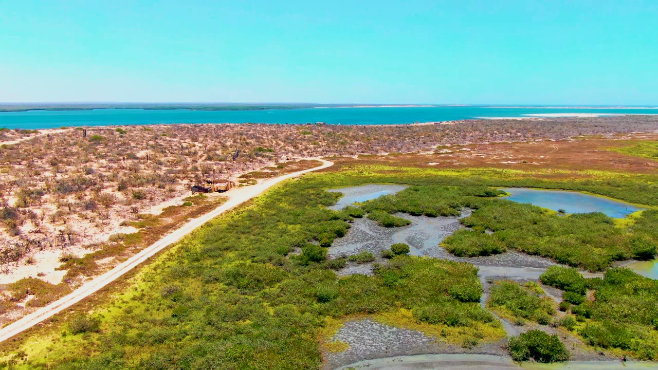 Aerial frame over San Carlos, Baja California Sur showing a pale road beside green wetlands and sandy scrubland with blue ocean on the horizon, no visible people.