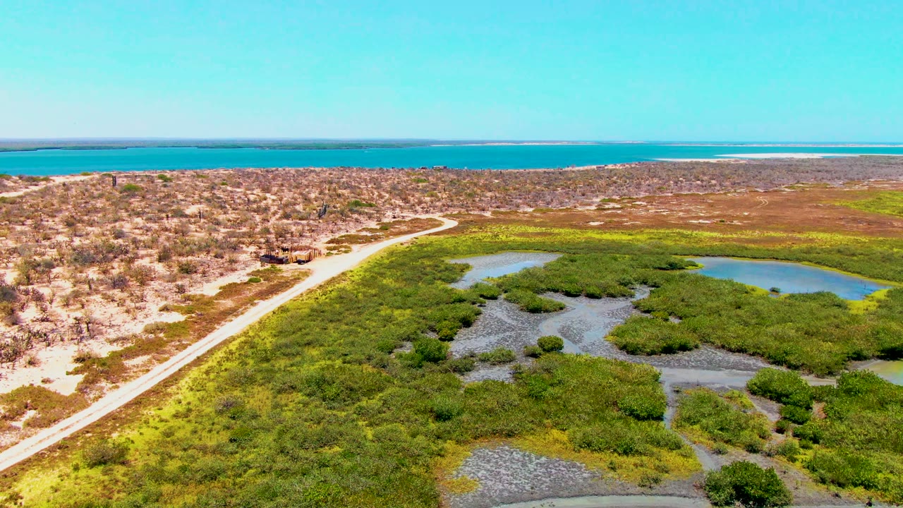 Elevated view of road curving past green wetland pools toward the coast.