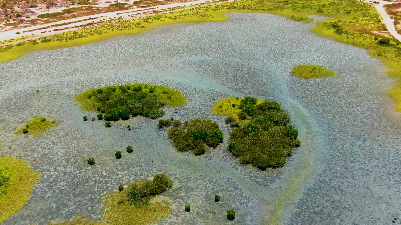 Opening frame over shallow marsh water in San Carlos, Baja California Sur, with green vegetation patches, darker shrubs, pale sandbars, a road along dry land, and no visible people.