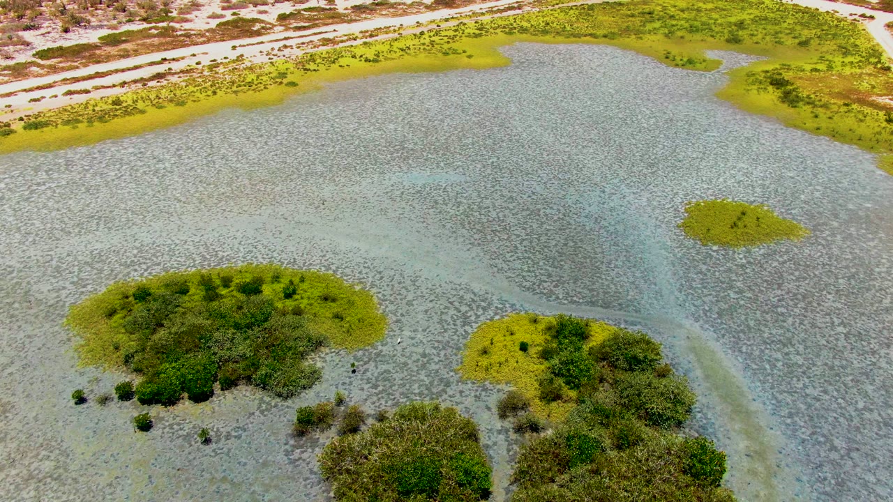 Third frame holds the high aerial perspective over San Carlos marsh water, with scattered green islands, broad rippled shallows, pale submerged sand, dry land, and no visible people.