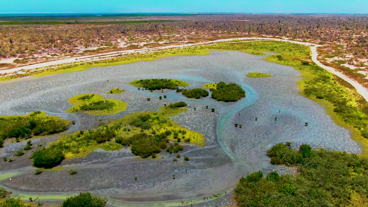 High aerial view over a San Carlos, Baja California Sur wetland at the start of the clip, showing shallow rippled water, green marsh islands, a pale road at the upper edge, and no visible people.