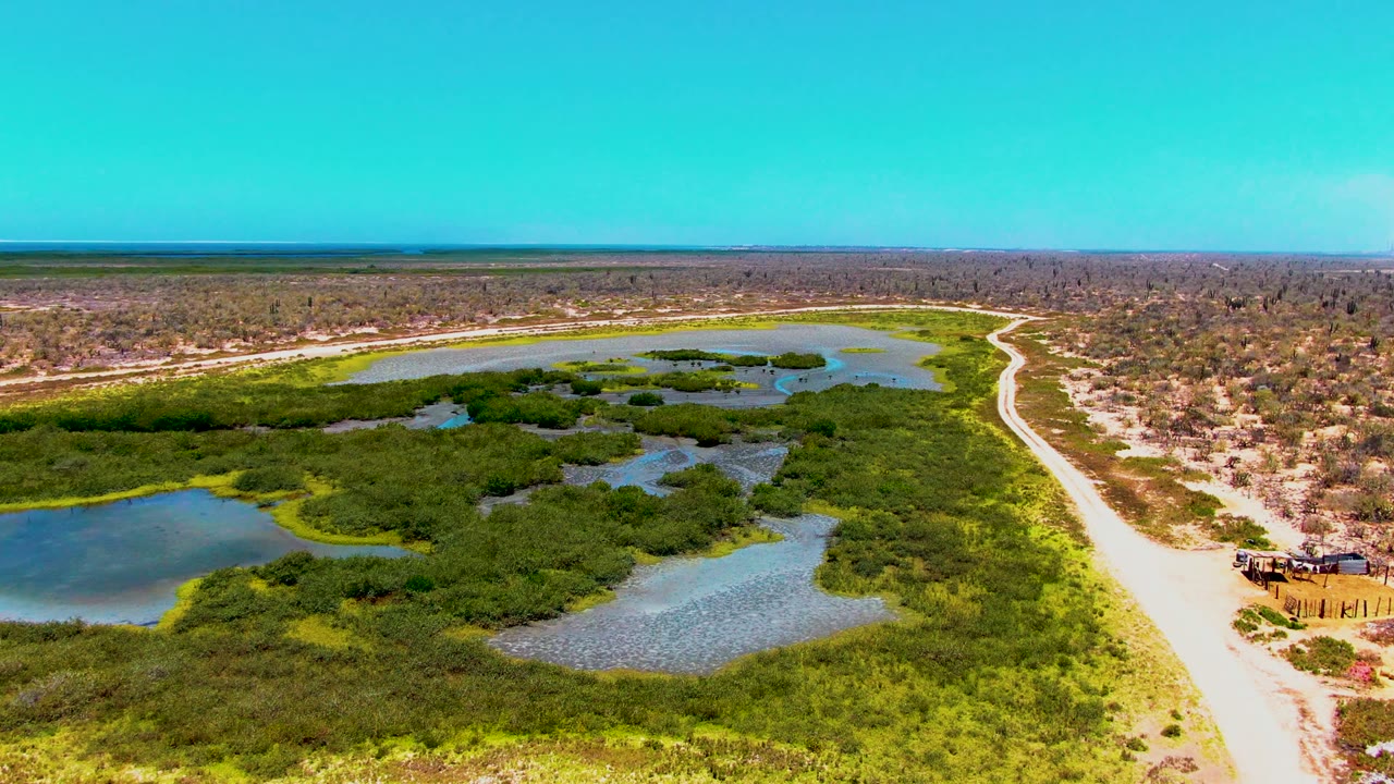 Drone view over shallow ponds and green wetland next to a pale dirt road.