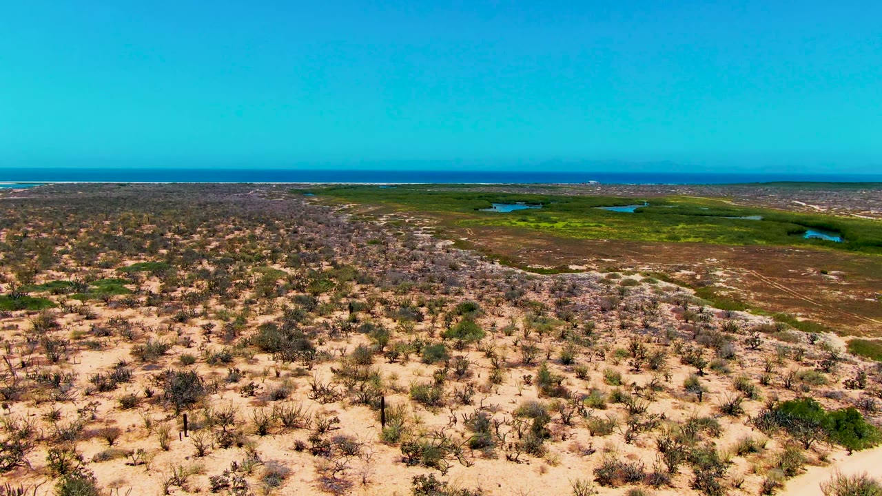 Aerial frame from San Carlos, Baja California Sur showing sandy scrubland in front, green marsh patches and small water bodies beyond, distant ocean on the horizon, and no visible people.