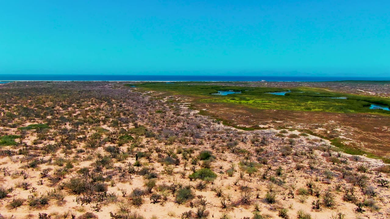 San Carlos coastal aerial showing dry brush and sand in the foreground, a broad green marsh across the midground, small water pockets, blue ocean, and no visible people.