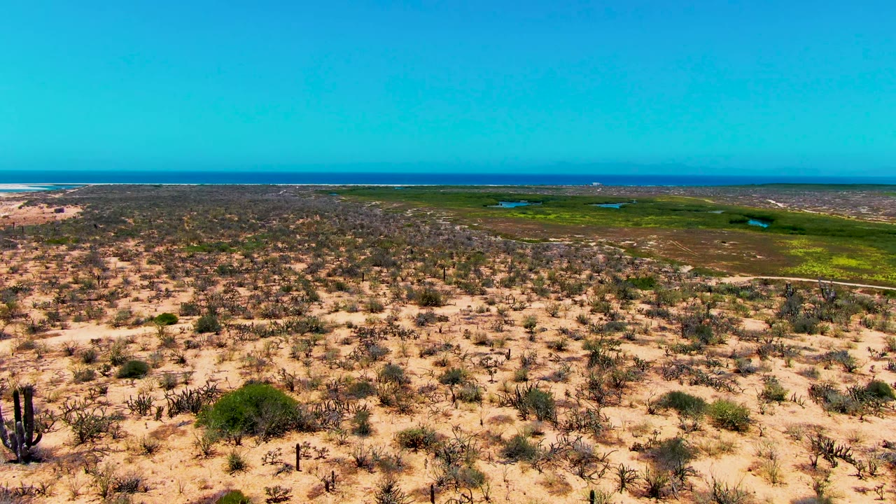 Wide aerial view over sandy cactus terrain near San Carlos, Baja California Sur, with green lowland patches and a distant ocean horizon under blue sky, no visible people.