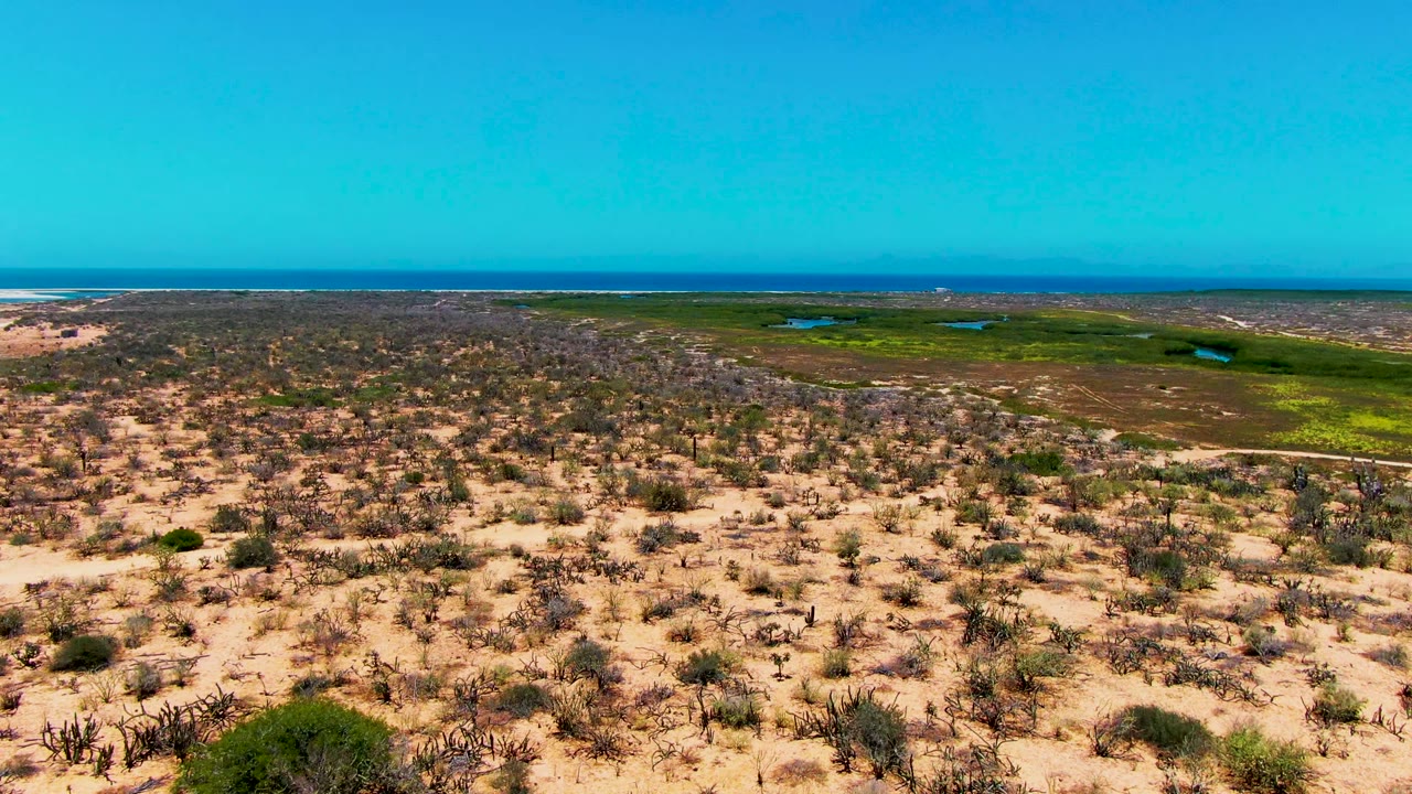 Drone view across sparse desert plants toward green flats and blue ocean.