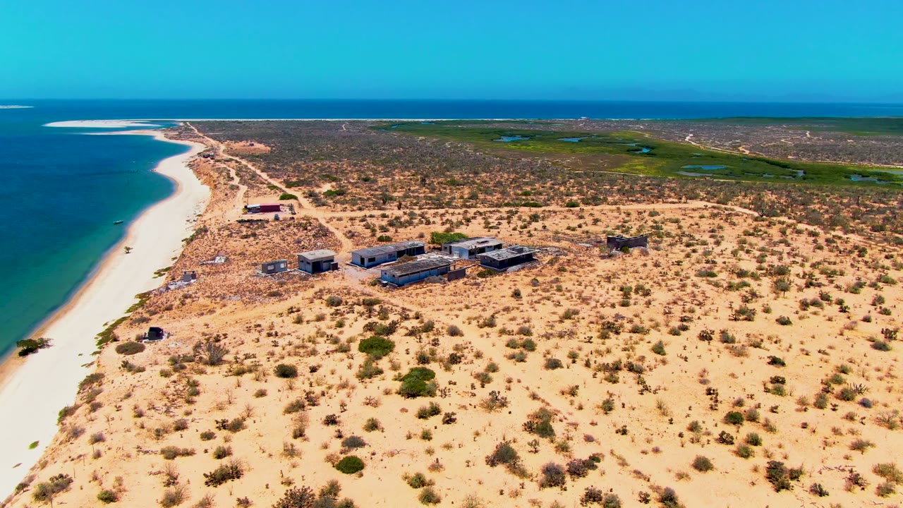 Aerial view over San Carlos, Baja California Sur with turquoise ocean and white sand beach on the left, scattered desert shrubs and small shore structures to the right, and no visible people.