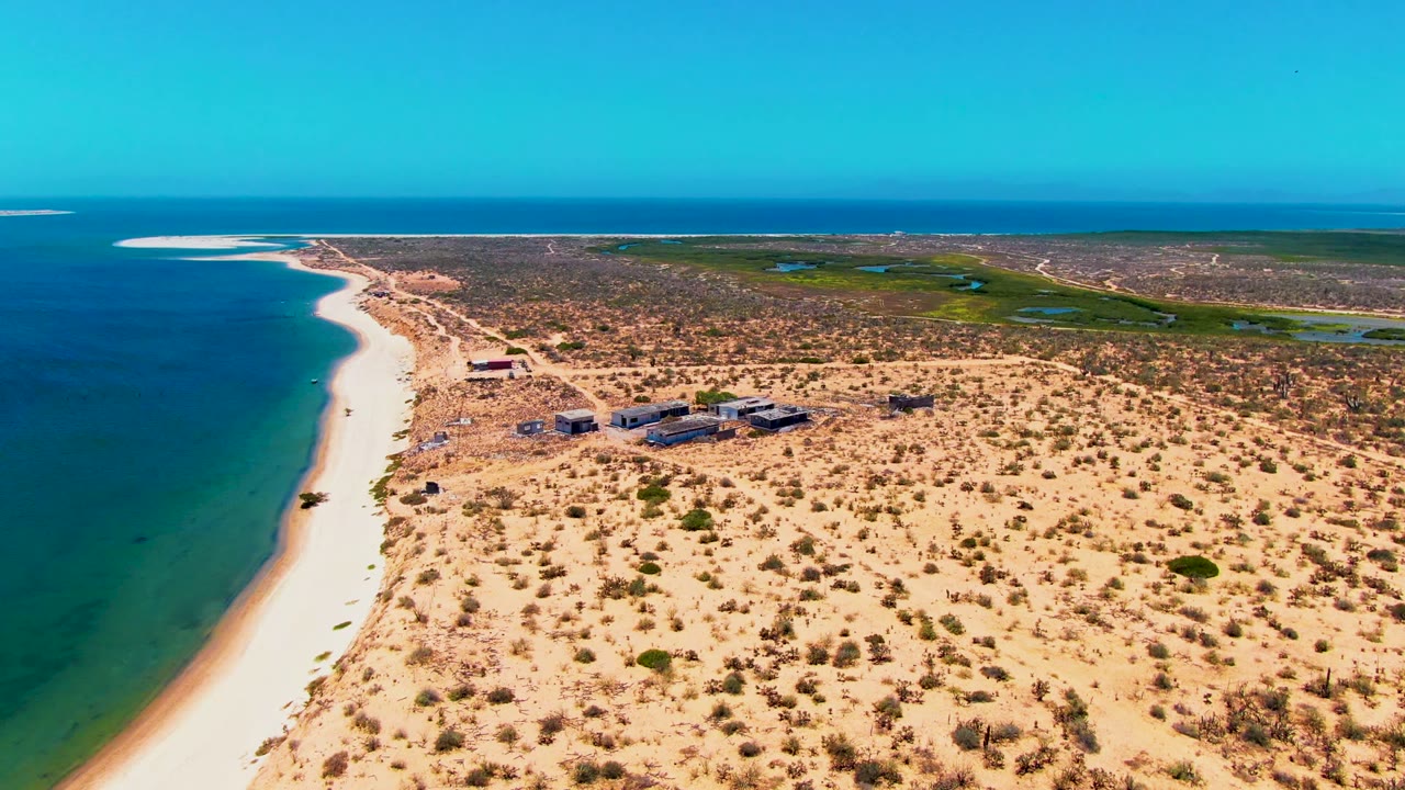 Aerial view in San Carlos, Baja California Sur showing a curved sandy beach beside blue ocean, sparse desert vegetation inland, small shoreline structures, and a tiny person near the waterline.