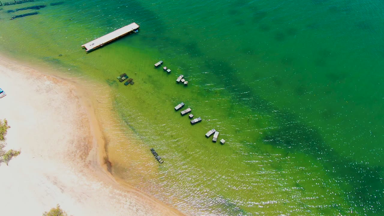 Overhead view in San Carlos, Baja California Sur showing pale sand at left, green shallow water, a wooden dock near the top edge, clusters of floating buoys, and no visible people.