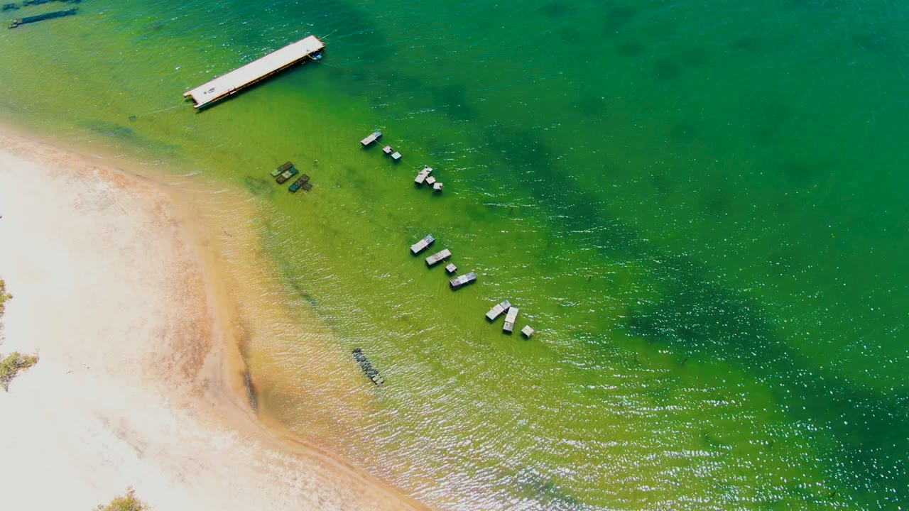 Aerial frame in San Carlos, Baja California Sur with the sandy beach running down the left, the dock near the upper left, buoy clusters centered in green water, and no visible people.