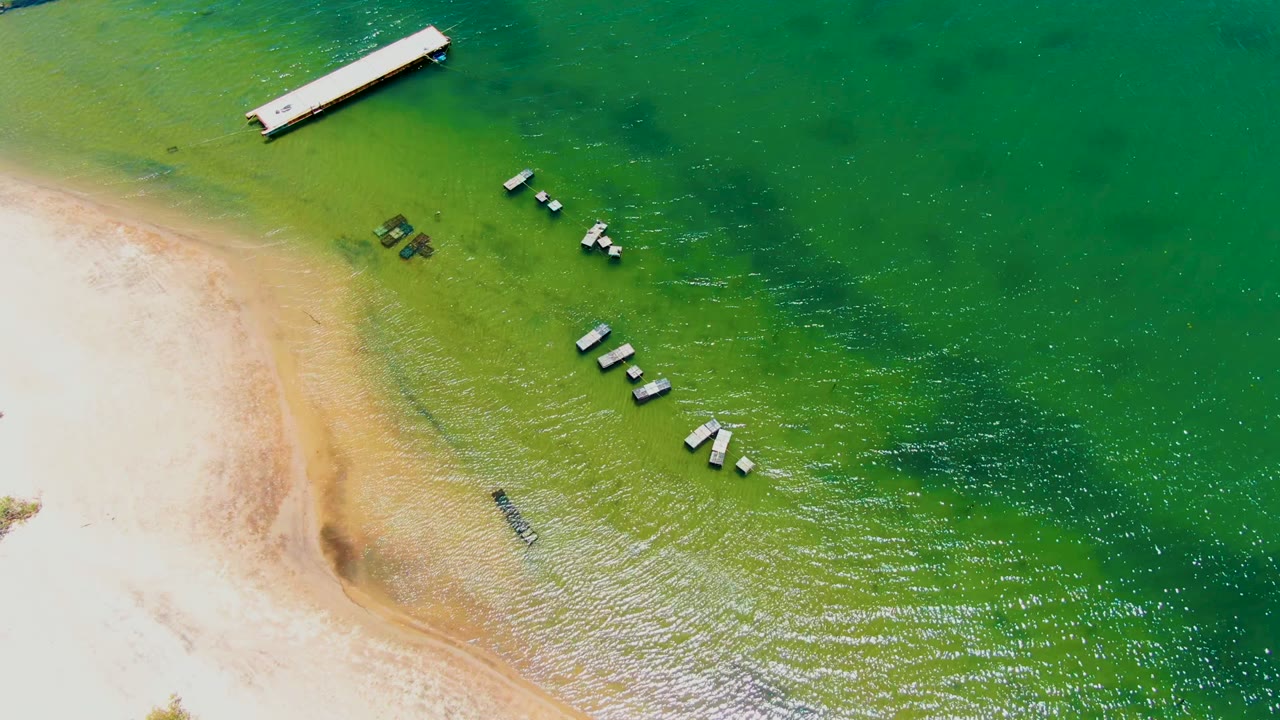 Overhead San Carlos, Baja California Sur frame showing brighter shallow water near the sand, darker green water to the right, a dock at the top, anchored buoys, and no visible people.