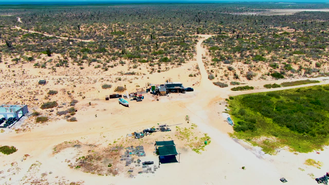 Opening aerial frame over San Carlos, Baja California Sur, showing a sandy track crossing desert scrub, small structures and parked vehicles near shade canopies, a green field to the right, ocean on the horizon, and no visible people.