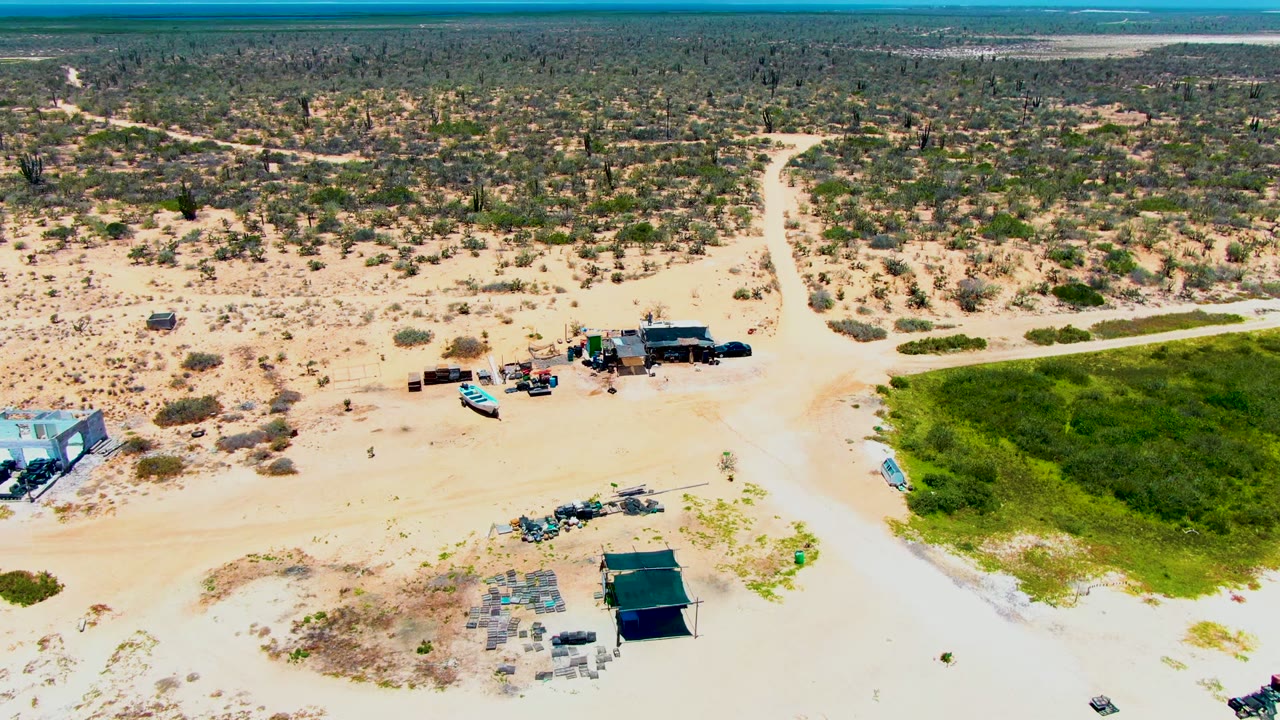 Aerial desert scene with dirt road, parked vehicles, shade tents, scrubland, green field, and ocean line.