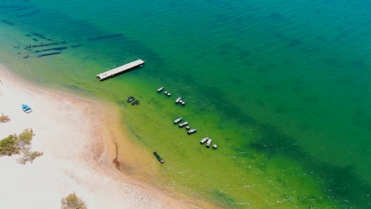 Aerial frame over San Carlos, Baja California Sur, Mexico, showing a pale sandy shore at left, a narrow dock near the top, scattered small boats in shallow green-turquoise water, a blue boat on the sand, and no visible people.