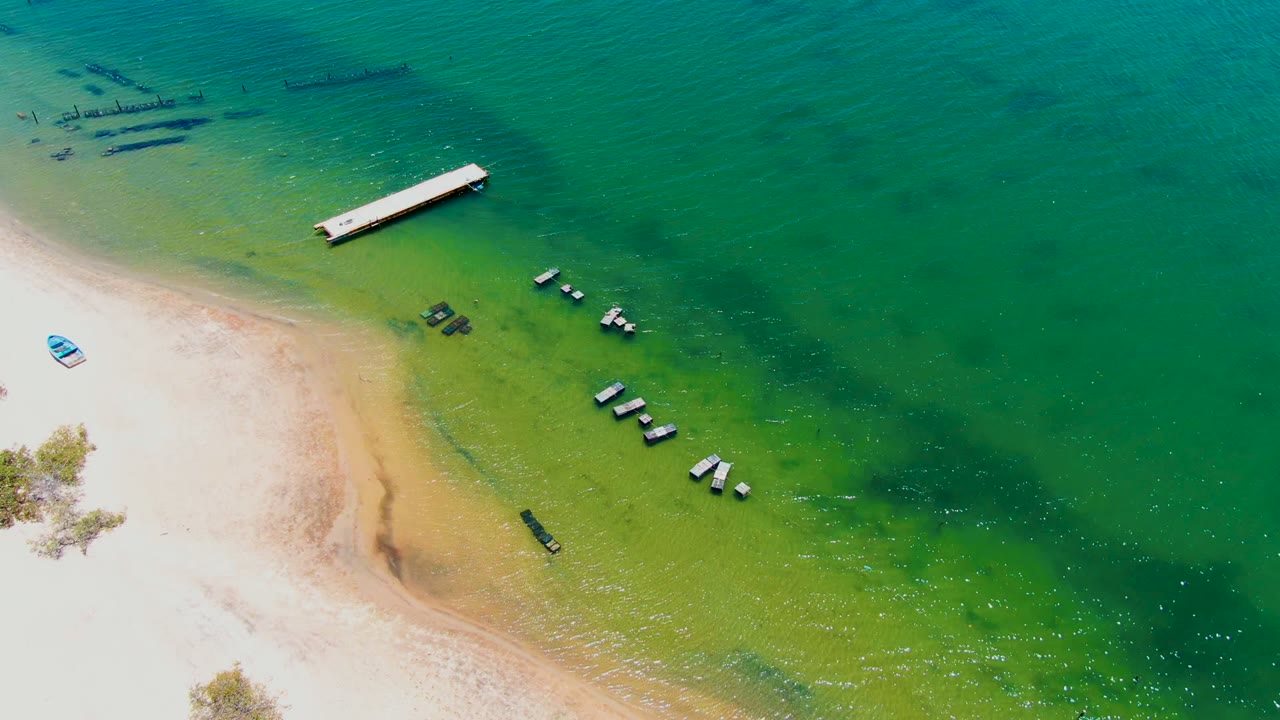 San Carlos aerial frame showing the curved sand at lower left, a long narrow dock near the top, small boats spread through the shallow water, darker submerged shapes near the upper edge, and no visible people.