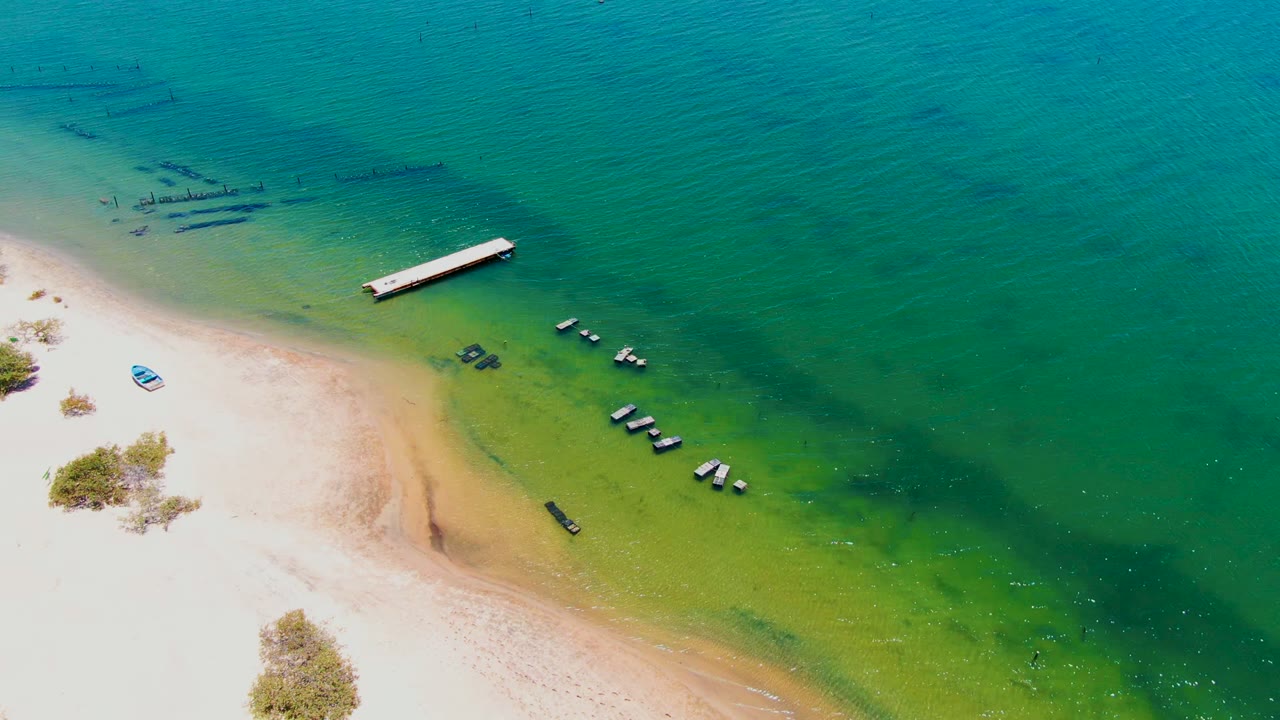 Overhead San Carlos frame with the dock extending from shallow green water into deeper turquoise water, small boats below it, pale beach at left, and no visible people.