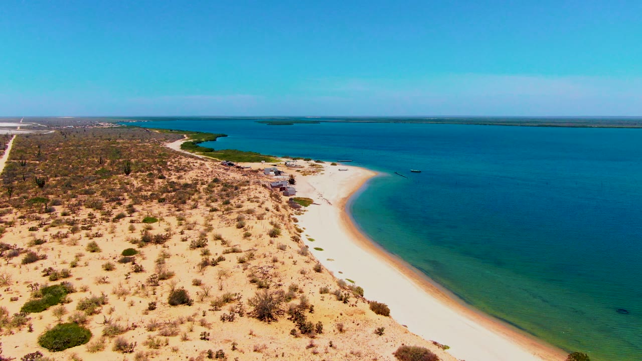 Curving sandy beach with arid scrub and calm ocean water.