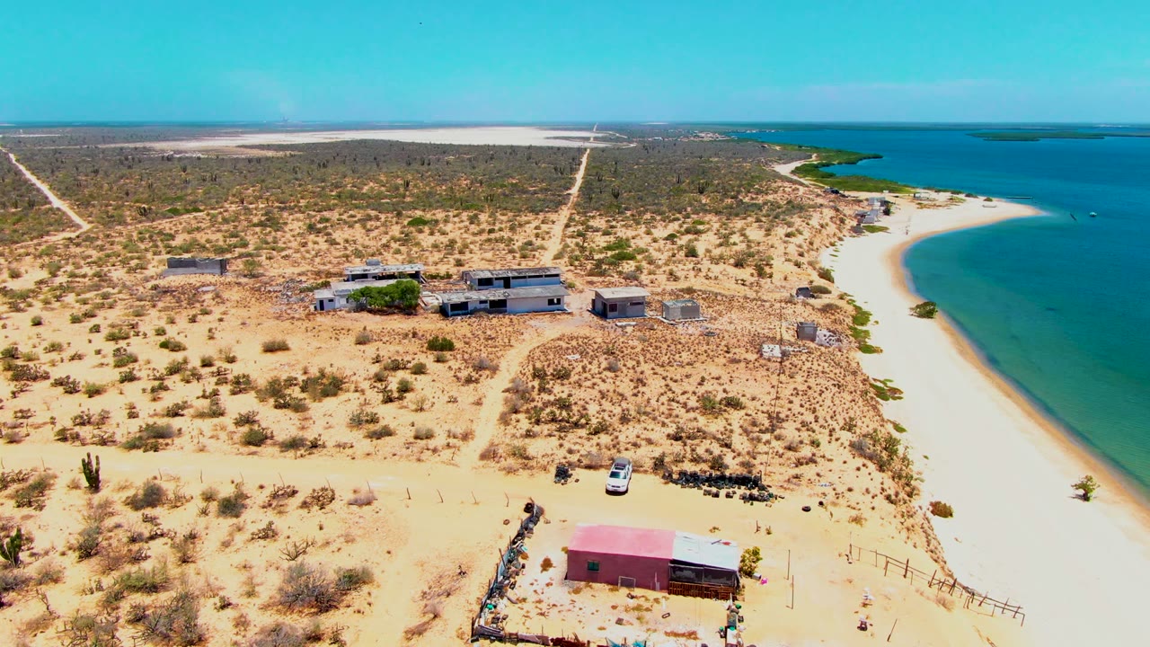 High drone frame over San Carlos, Baja California Sur, with desert scrub filling the foreground, low buildings near center, the shoreline curving at right, and no visible people.