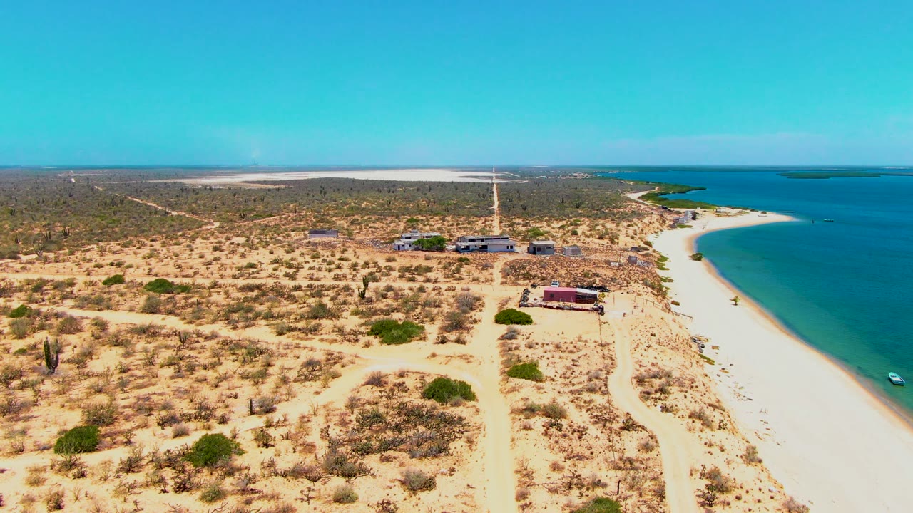 Aerial frame over San Carlos, Baja California Sur showing dry desert vegetation, pale sand tracks, low beachside buildings, a curving white shoreline, blue ocean, and no visible people.