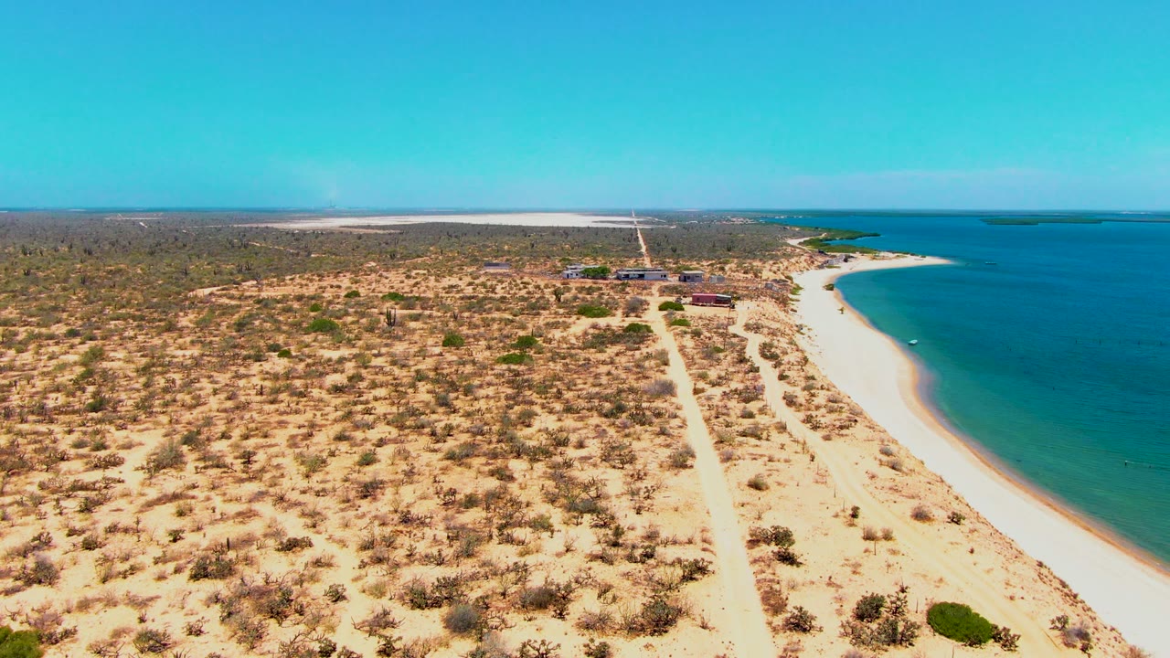 Aerial view in San Carlos, Baja California Sur with the scrubby sand field filling the foreground, beach and blue water on the right, a small boat closer to the lower shoreline, and no visible people.