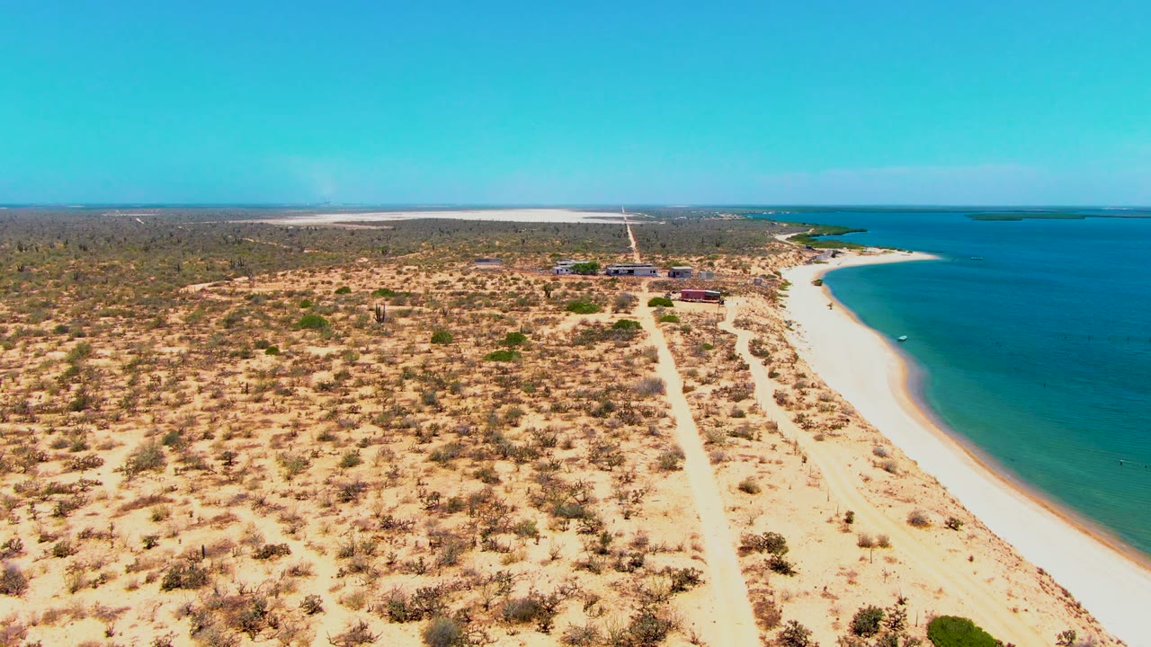 Wide aerial frame from San Carlos, Baja California Sur showing the beach curving along the right side, dry vegetation across the sand, distant shoreline structures, a small boat on blue water, and no visible people.