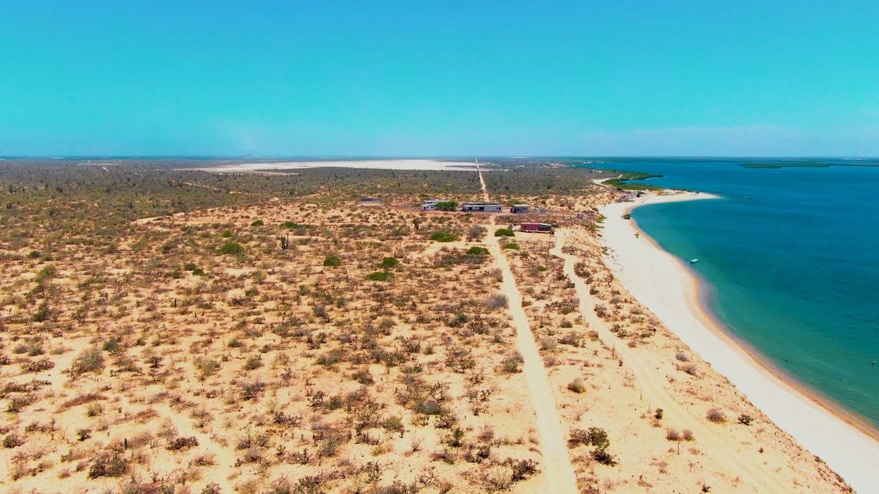 High coastal view of dry vegetation, sandy beach, ocean, and distant shoreline buildings.