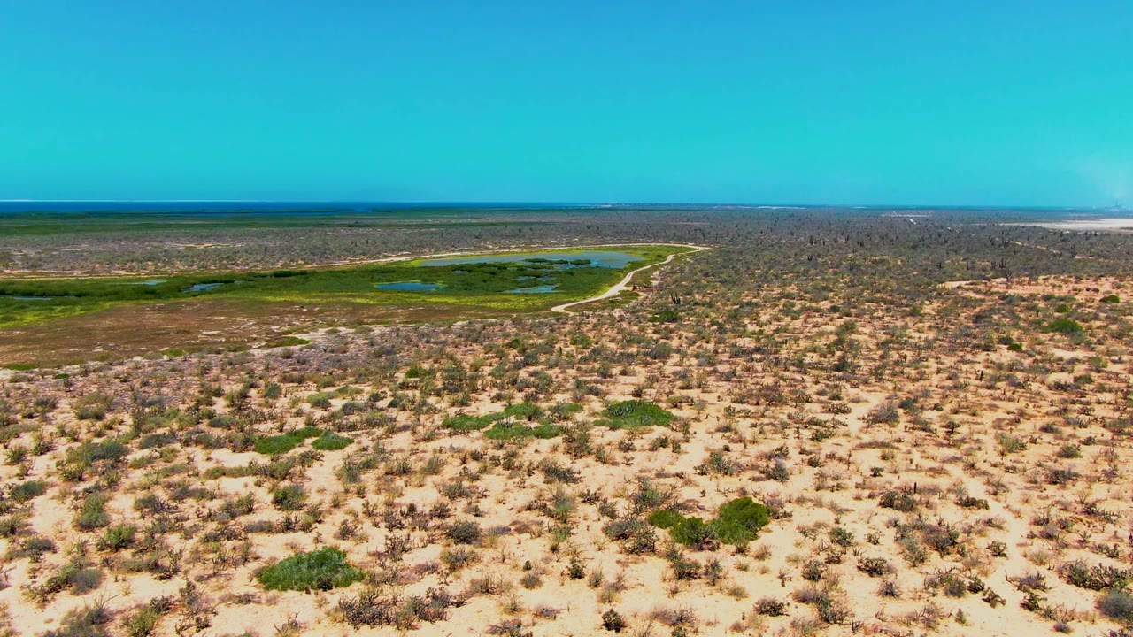 Aerial view near San Carlos, Baja California Sur, Mexico, showing sandy desert scrub in the foreground, green wetland patches and small water pools near the horizon, and no visible people.